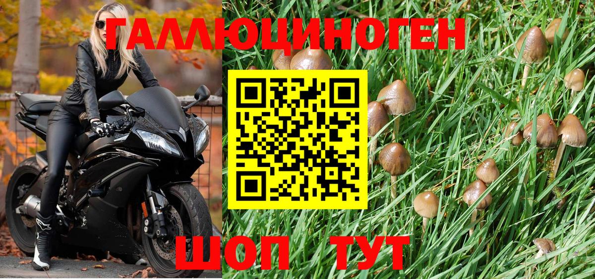 ГАШ Кумертау